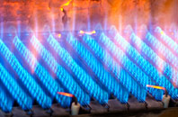 Abernant gas fired boilers